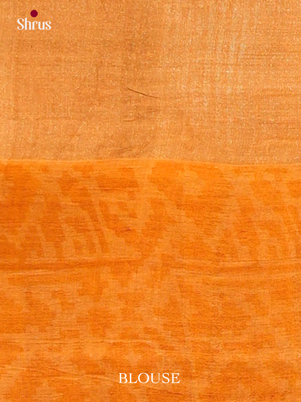 Tussar Saree - EES30239 - Shop on Shrus.com