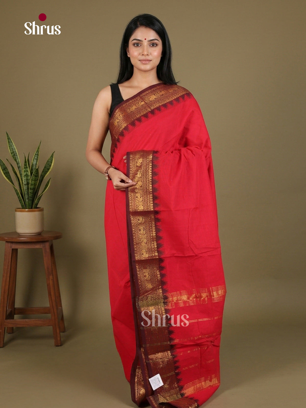 Chettinad Cotton Saree - EES30396