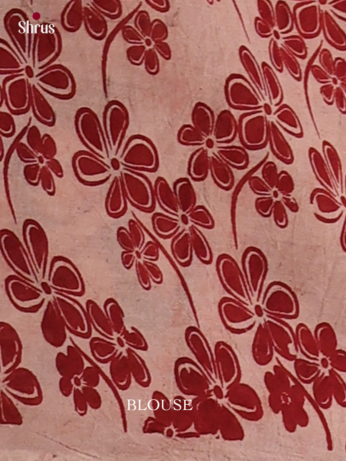 kalamkari-cotton Saree - EES30500