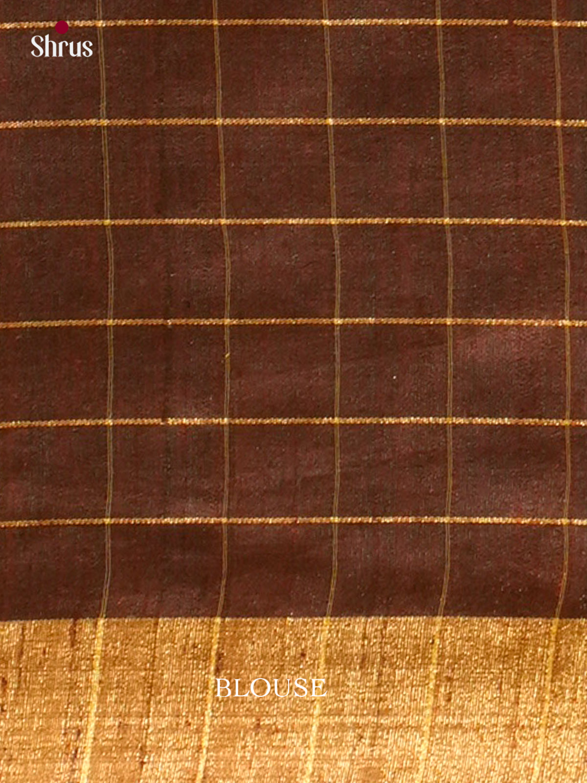 Raw Silk Saree - EFS01057