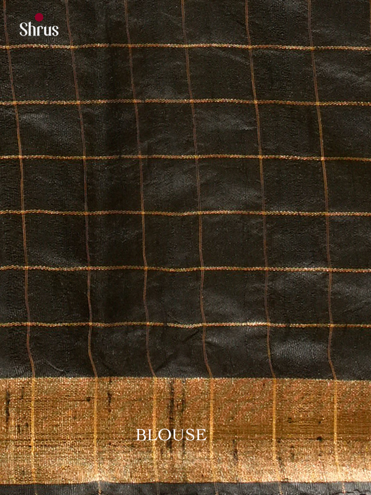 Raw Silk Saree - EFS01059