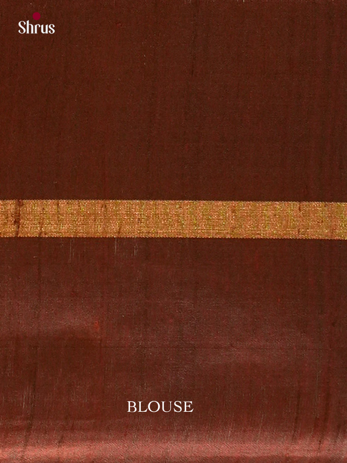 Raw Silk Saree - EFS01075
