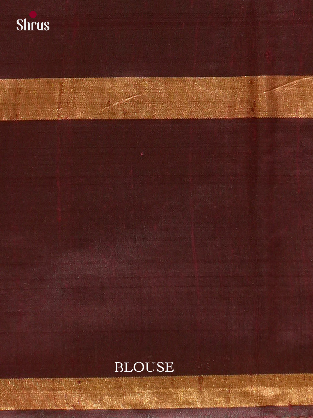 Raw Silk Saree - EFS01108