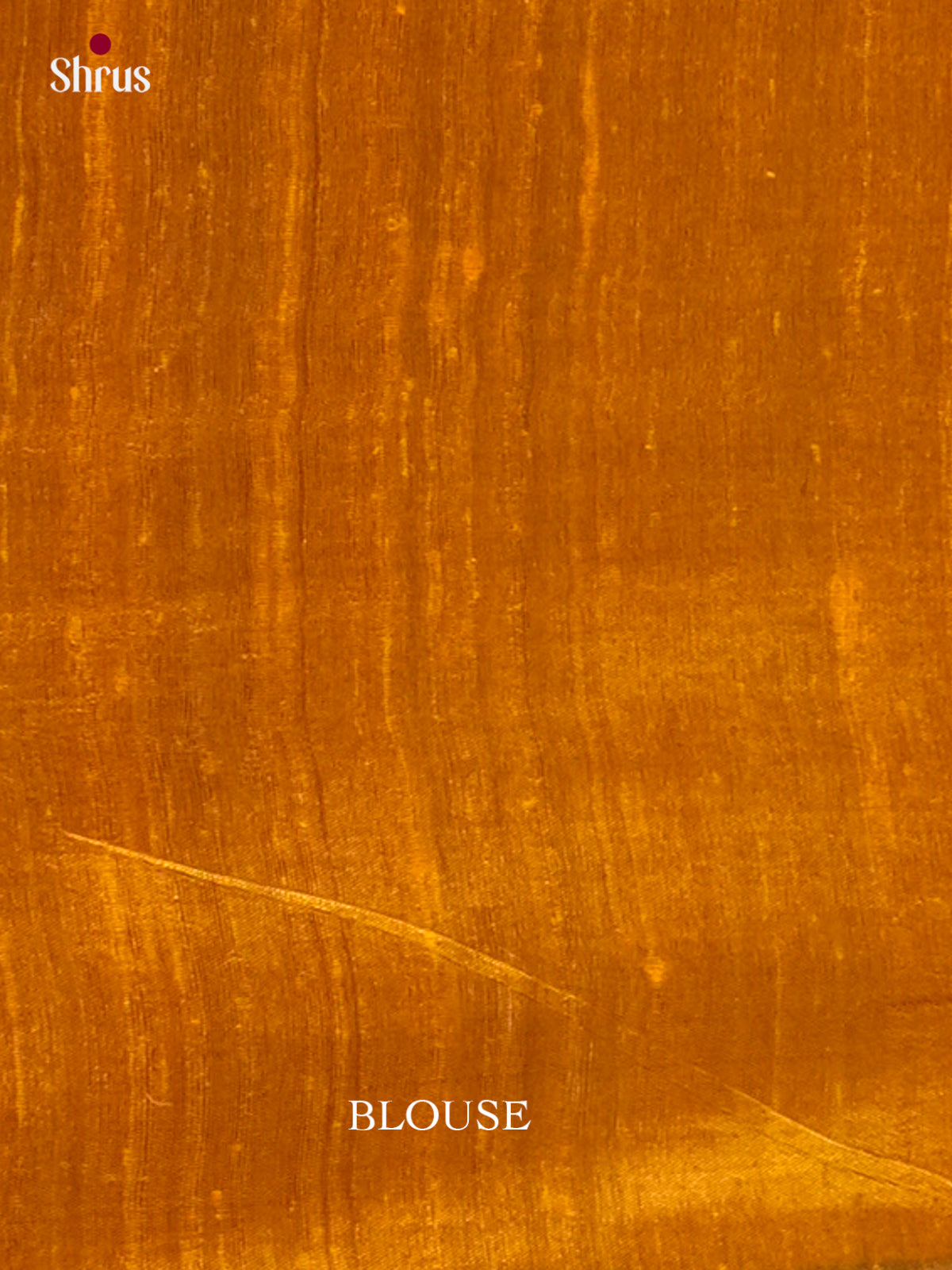Raw Silk Saree - EFS01112