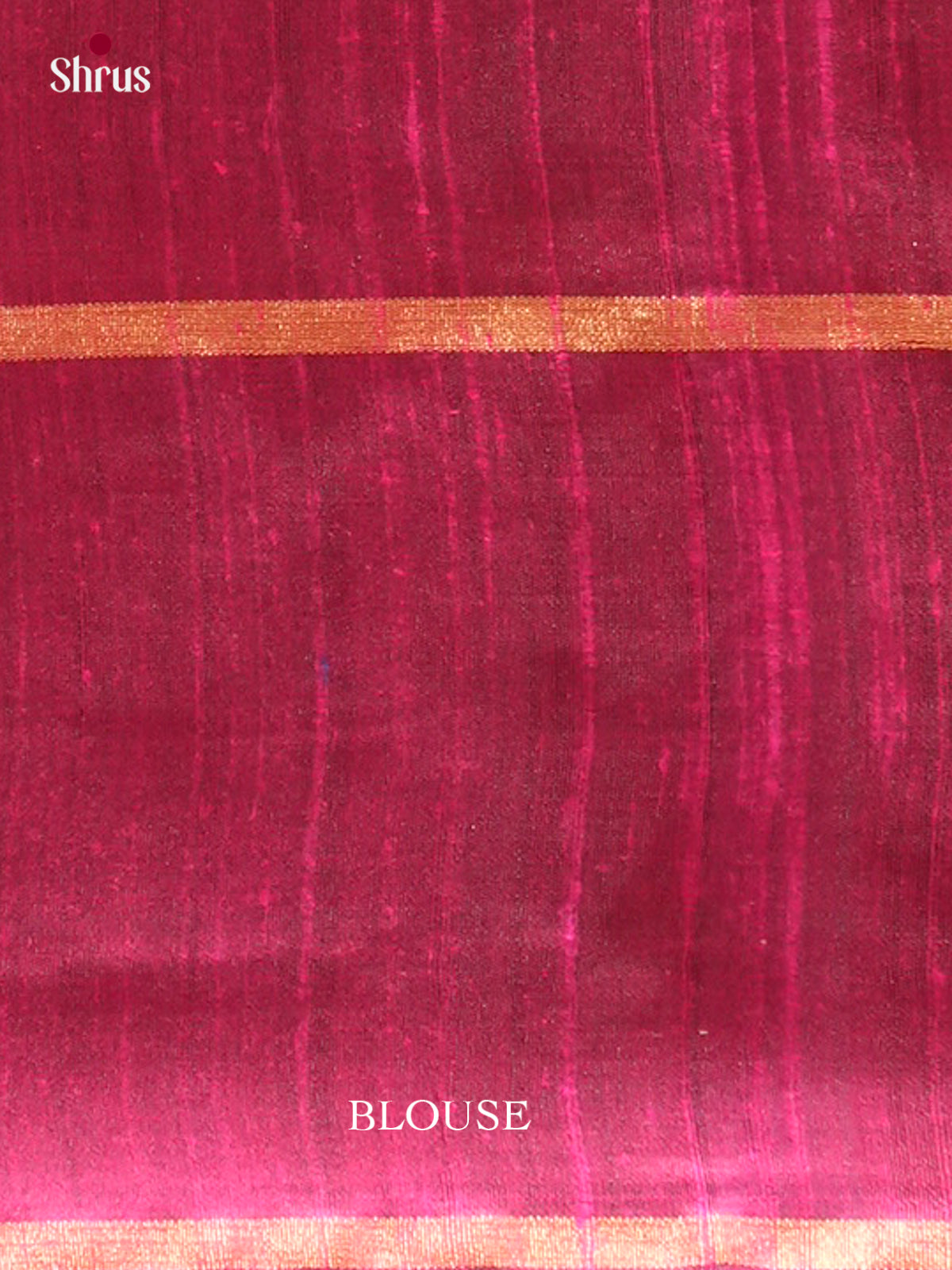 Raw Silk Saree - EFS01158