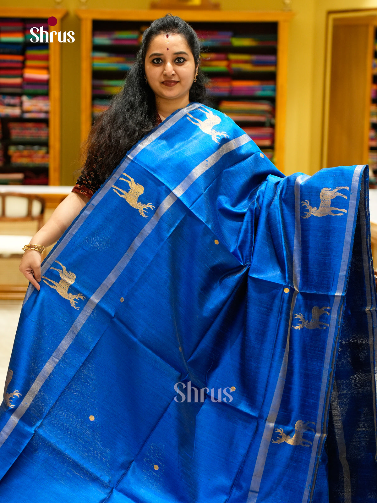 Raw Silk Saree - EFS01162