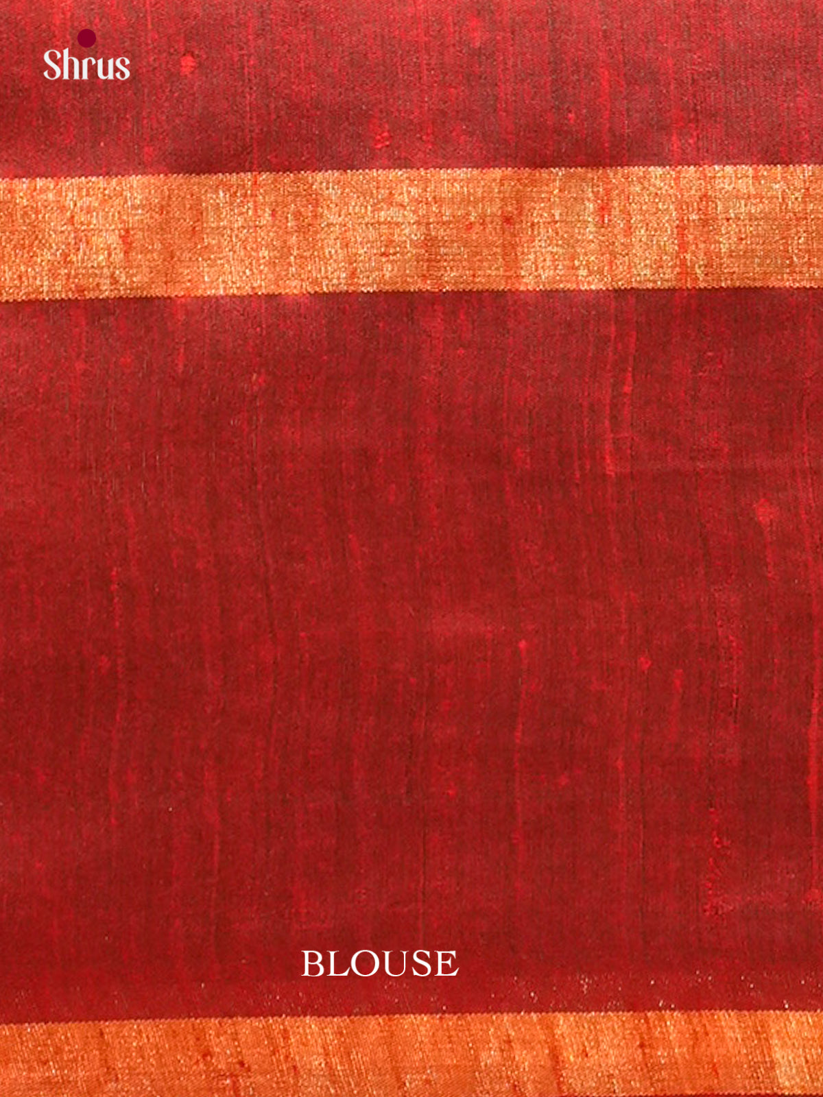 Raw Silk Saree - EFS01165