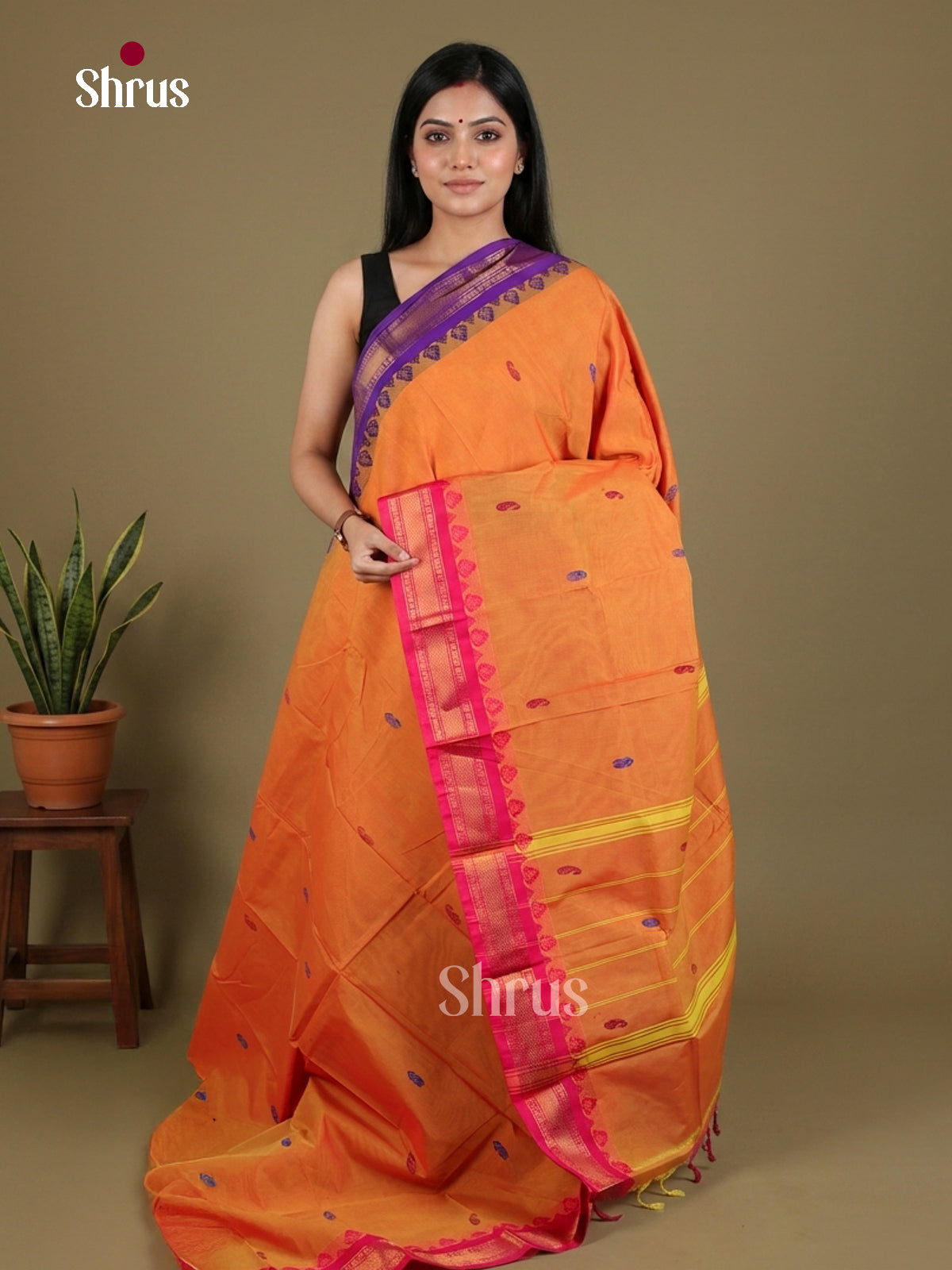 Chettinad Mix Cotton Saree - EFS01356
