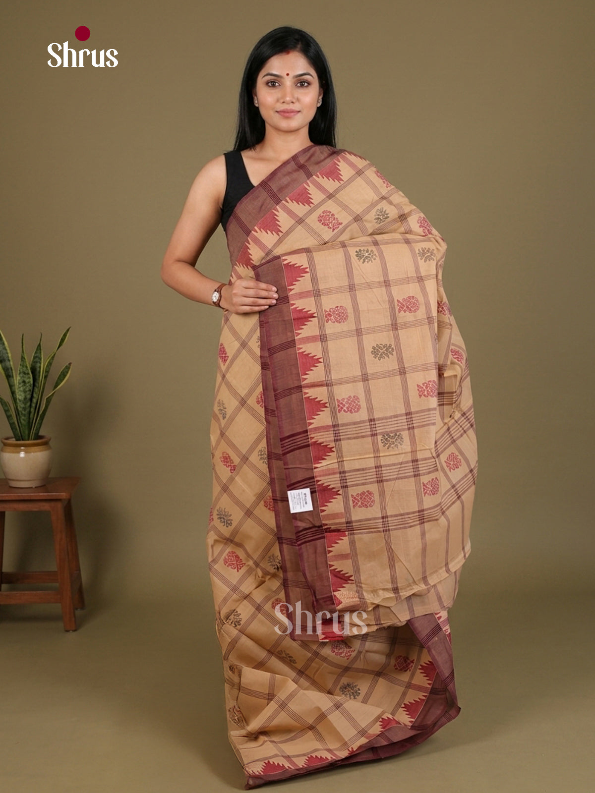 Chettinad Cotton Saree - EFS01378