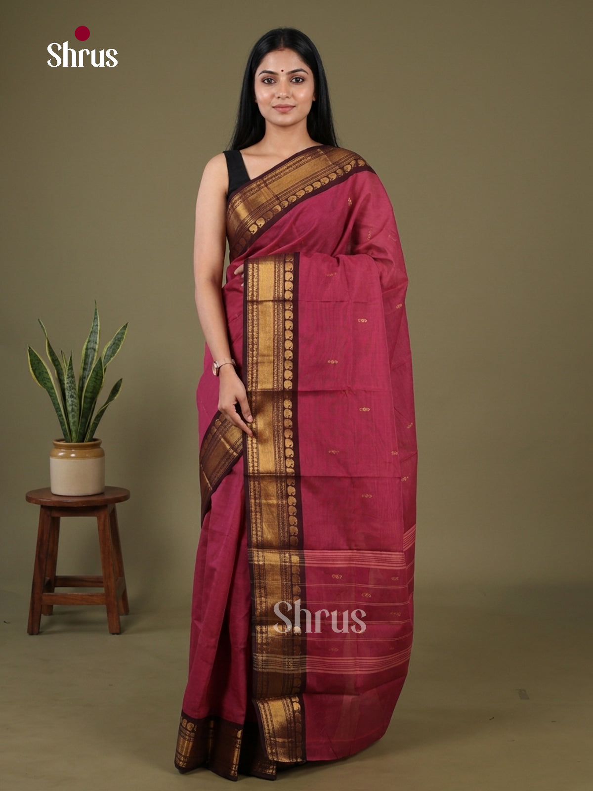 Chettinad Cotton Saree - EFS03008