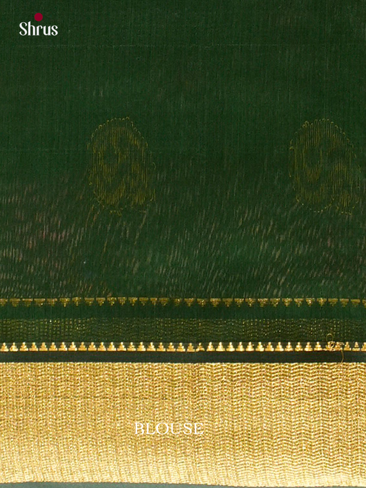 Maheshwari silkcotton Saree - EFS05167 - Shop on Shrus.com