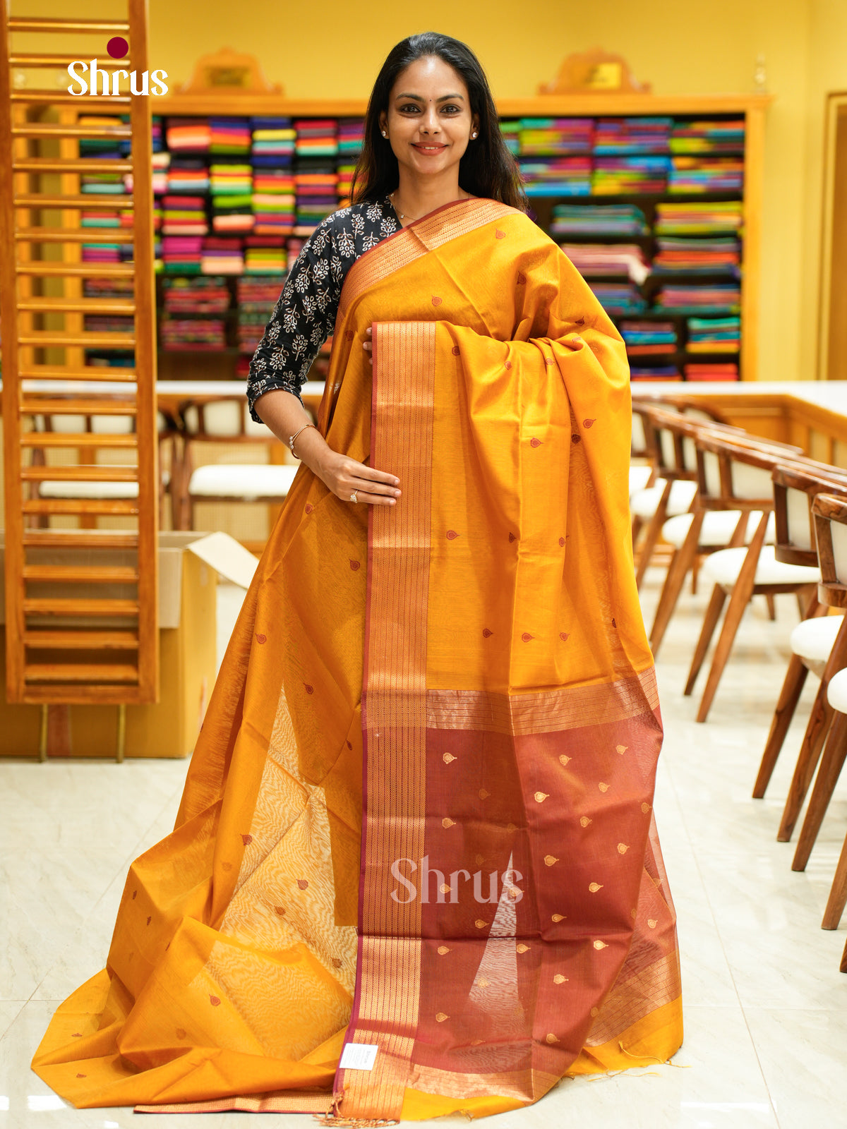 Maheshwari silkcotton Saree - EFS05226 - Shop on Shrus.com