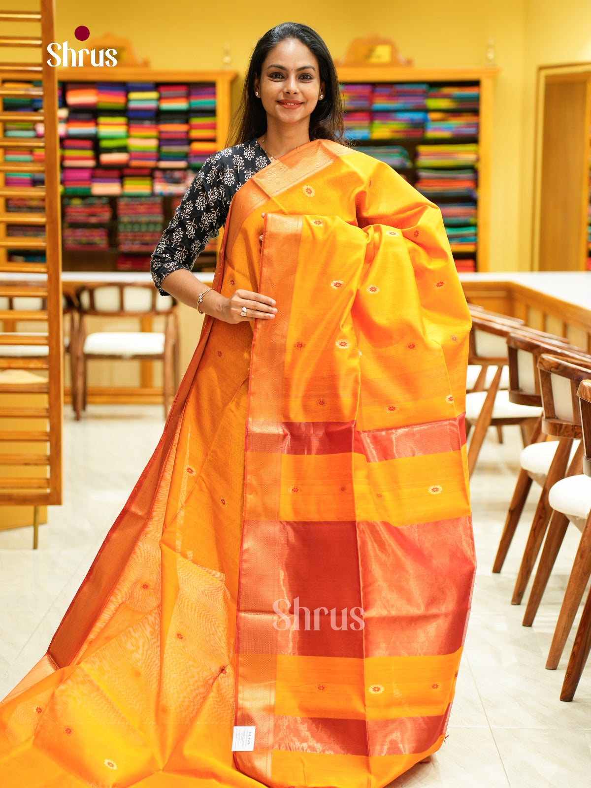 Maheshwari silkcotton Saree - EFS05249 - Shop on Shrus.com