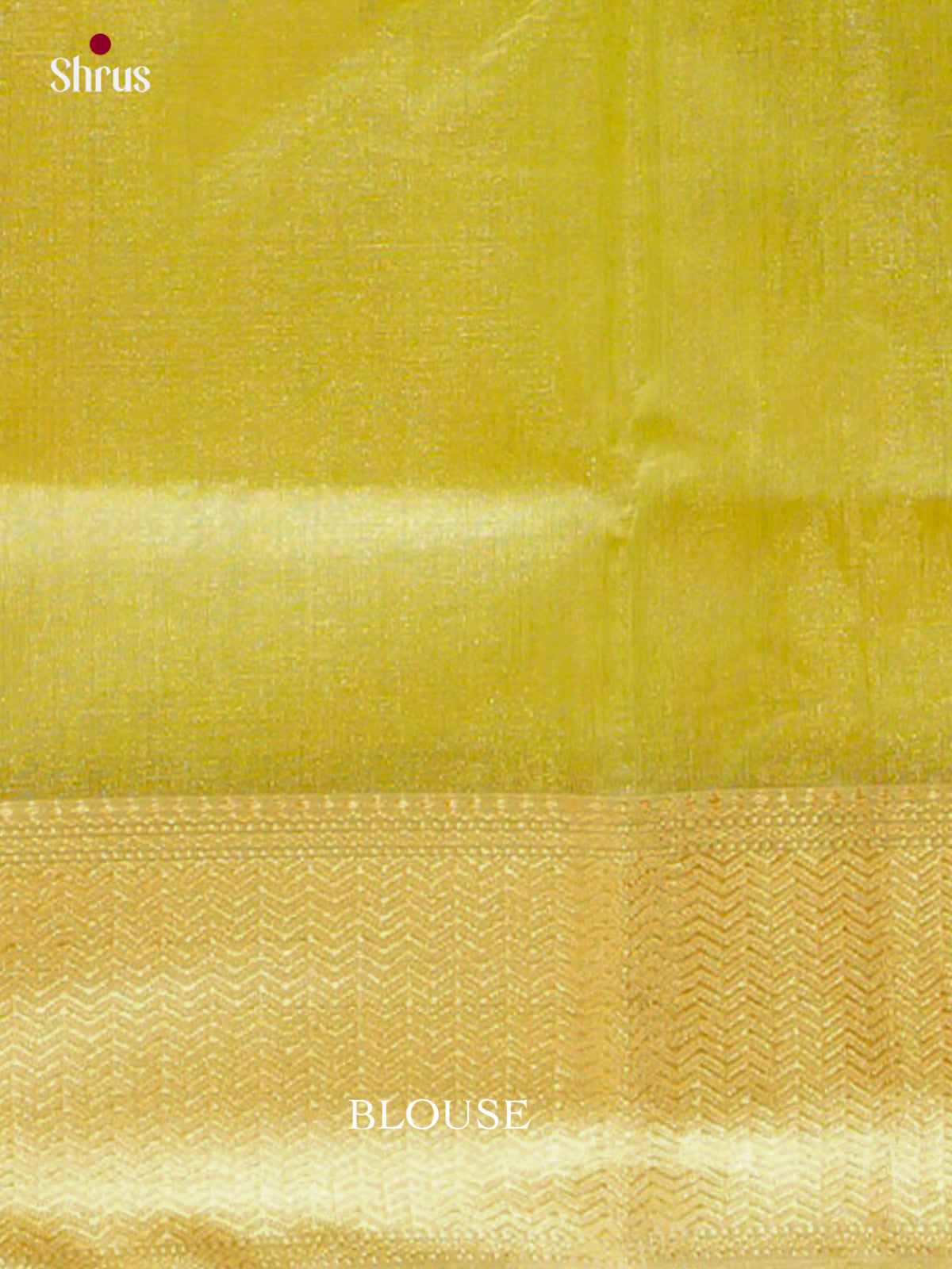 Maheshwari silkcotton Saree - EFS05273 - Shop on Shrus.com