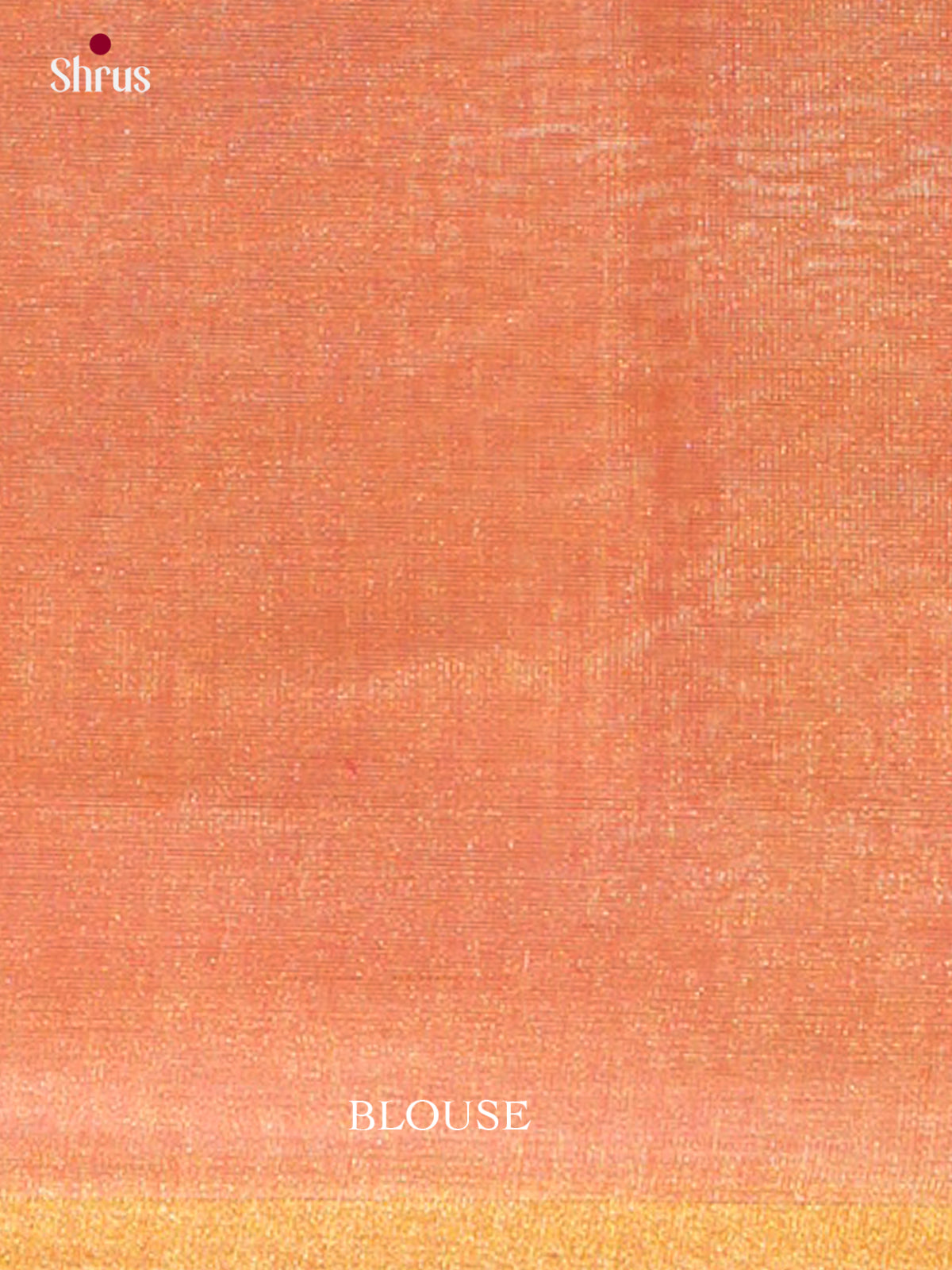 Maheshwari silkcotton Saree - EFS05372 - Shop on Shrus.com