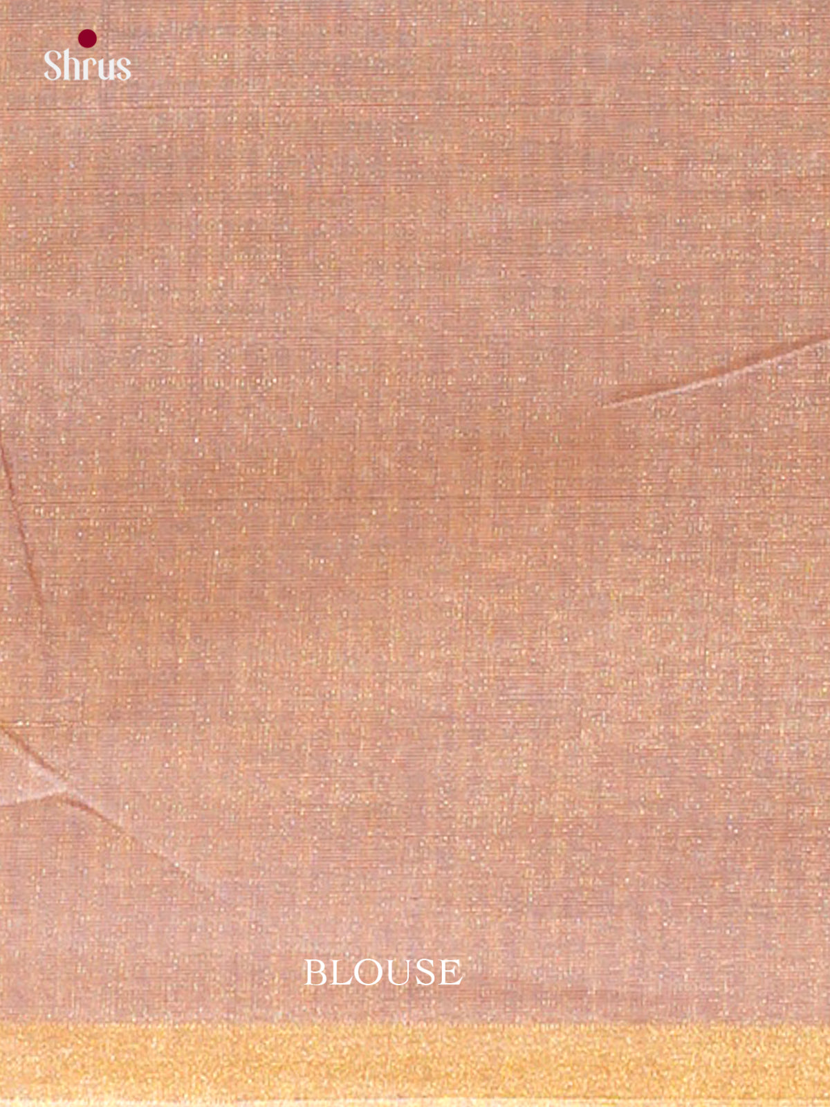 Maheshwari silkcotton Saree - EFS05376 - Shop on Shrus.com