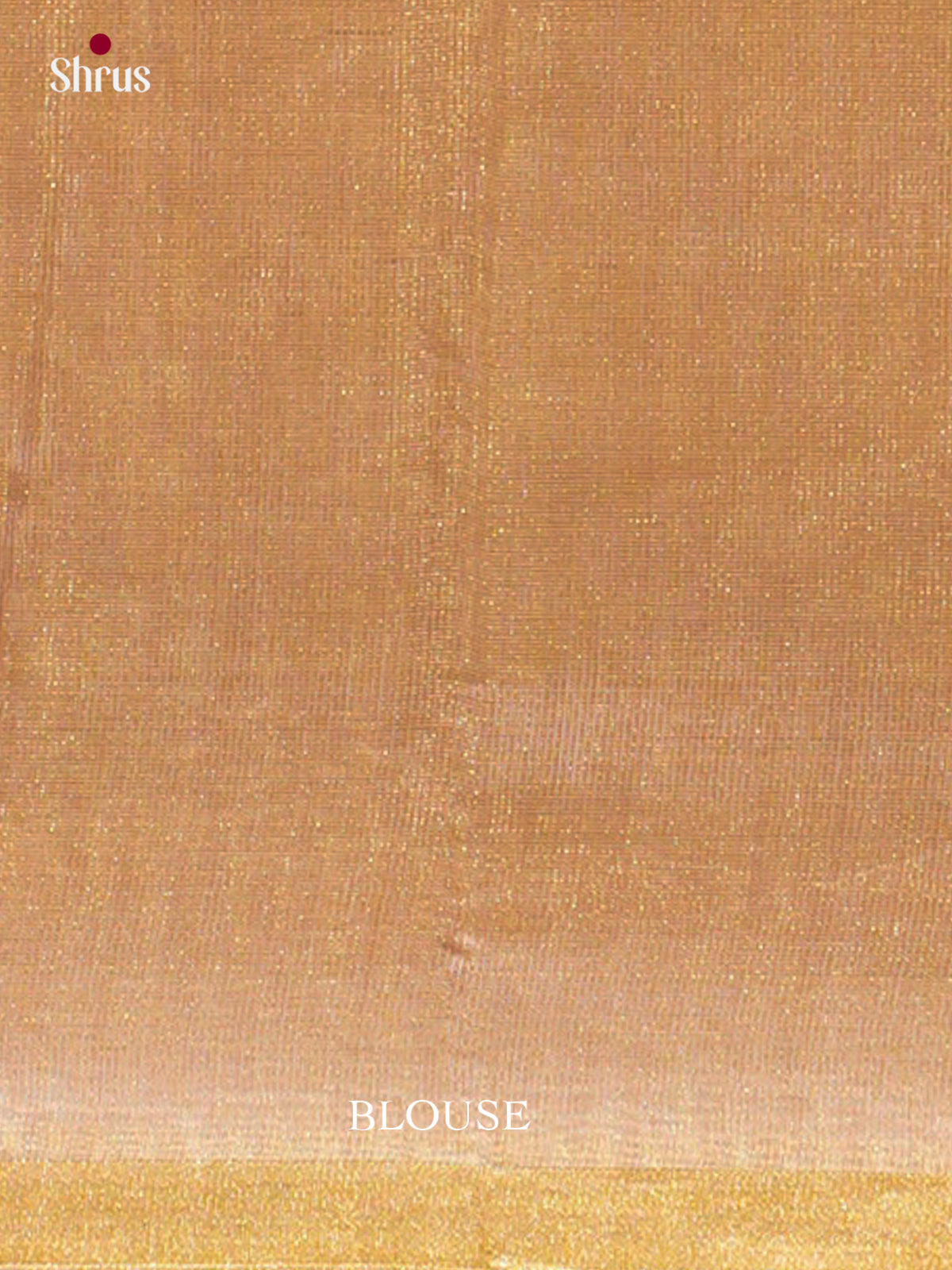 Maheshwari silkcotton Saree - EFS05377