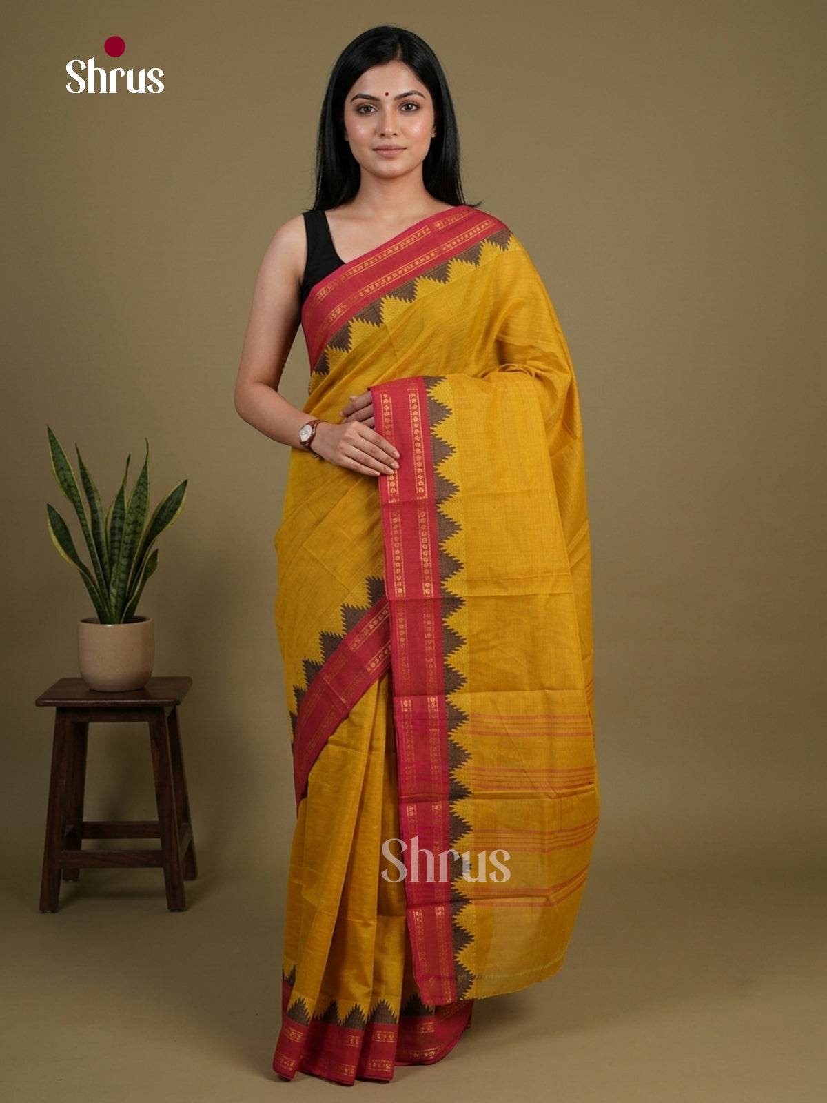 Chettinad Cotton Saree - EFS05419