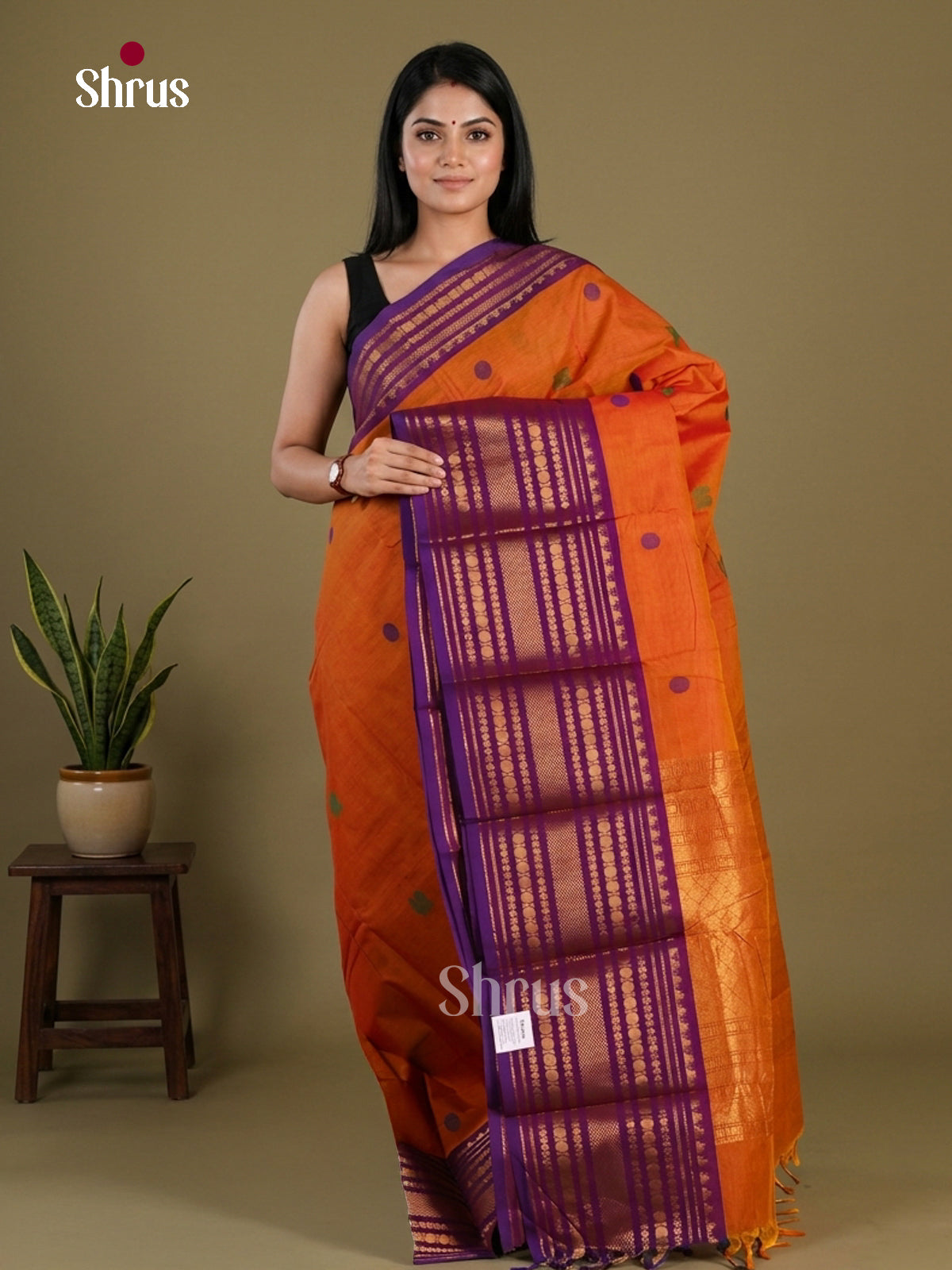 Chettinad Cotton Saree - EFS05428