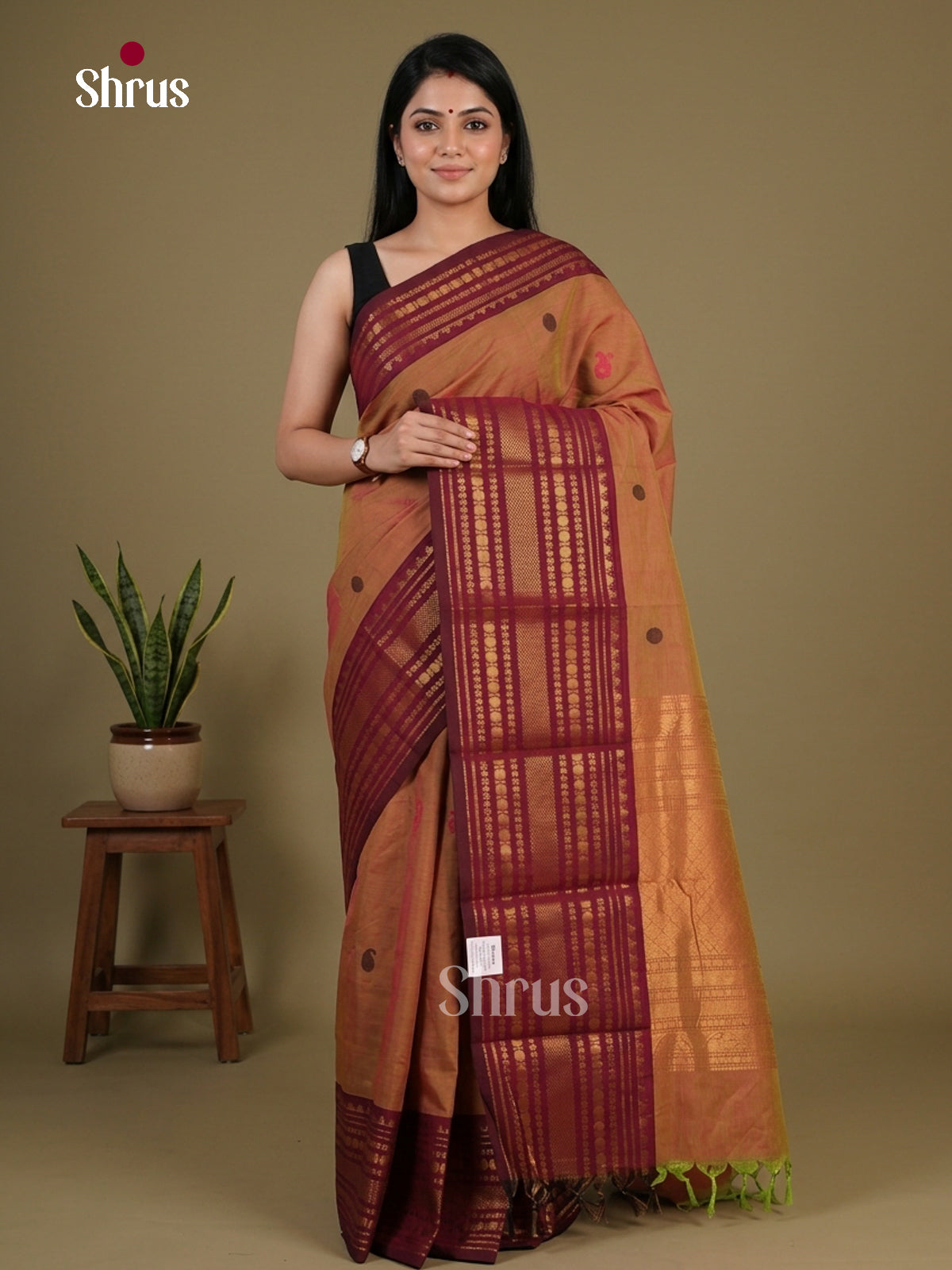Chettinad Cotton Saree - EFS05429