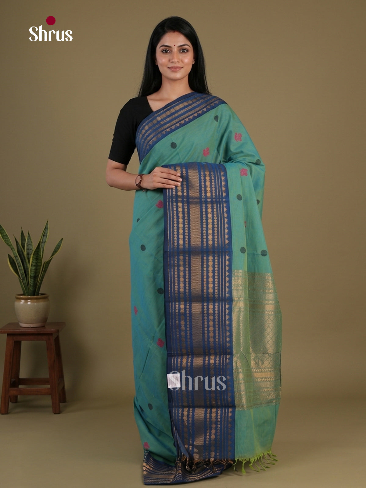 Chettinad Cotton Saree - EFS05430