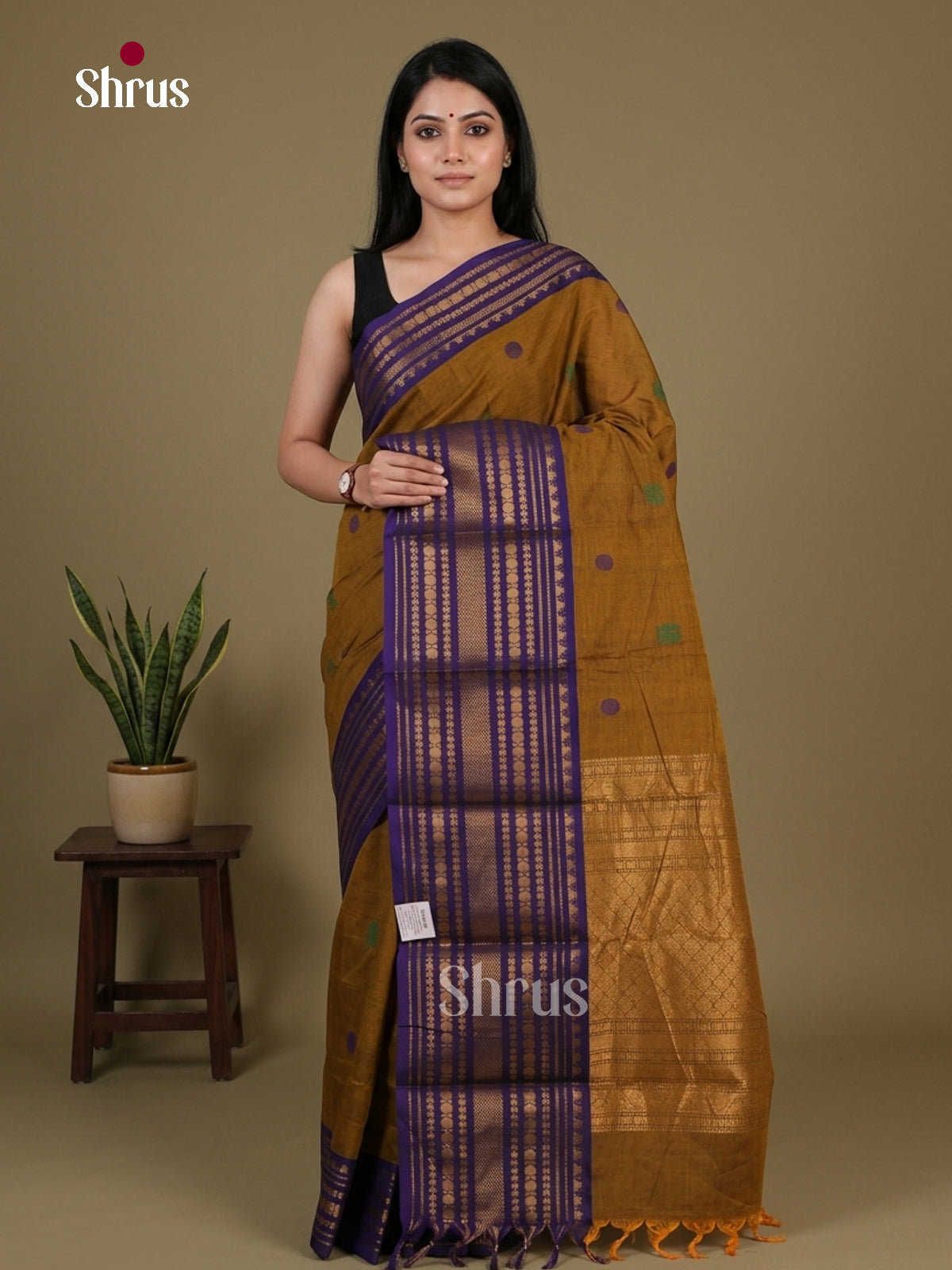 Chettinad Cotton Saree - EFS05432
