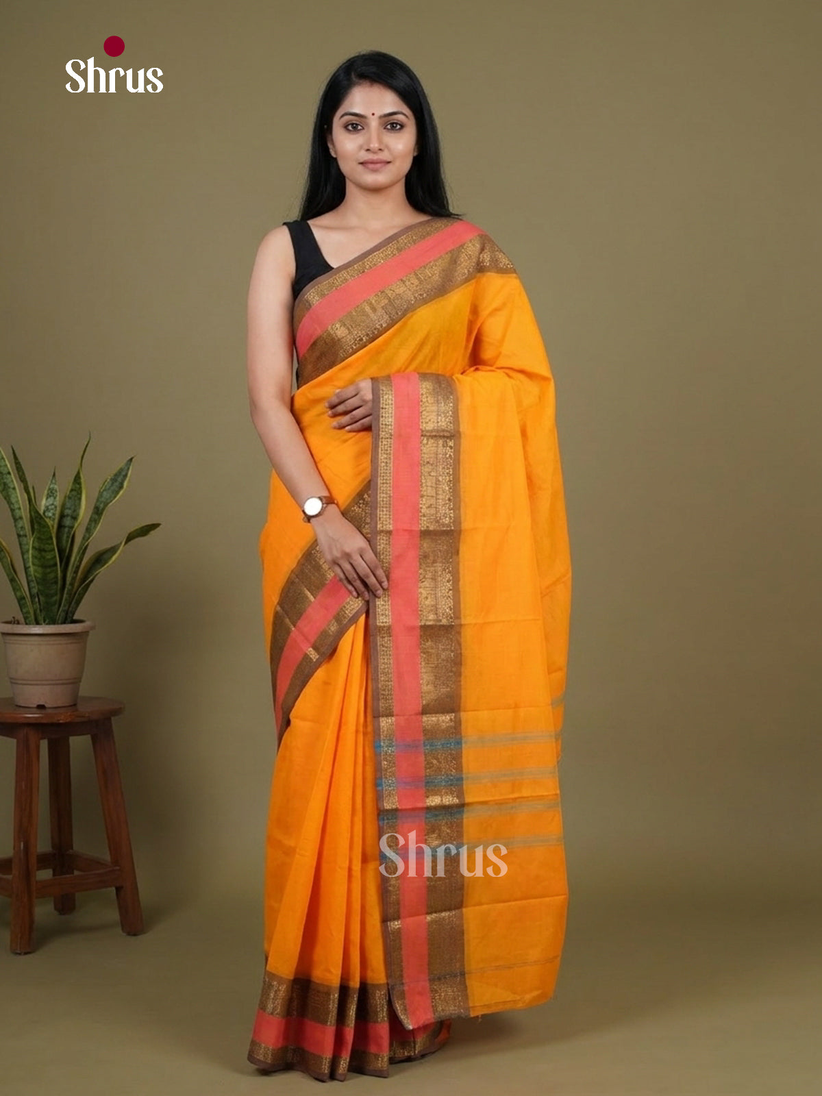 Chettinad Cotton Saree - EFS05436