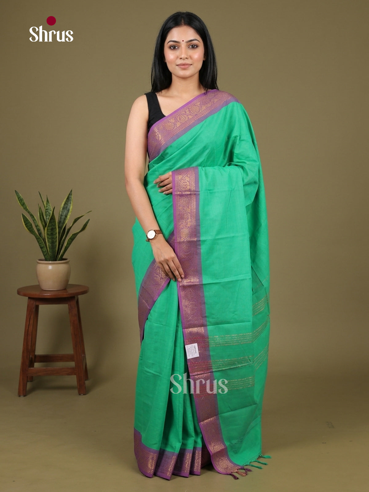 Chettinad Cotton Saree - EFS05444