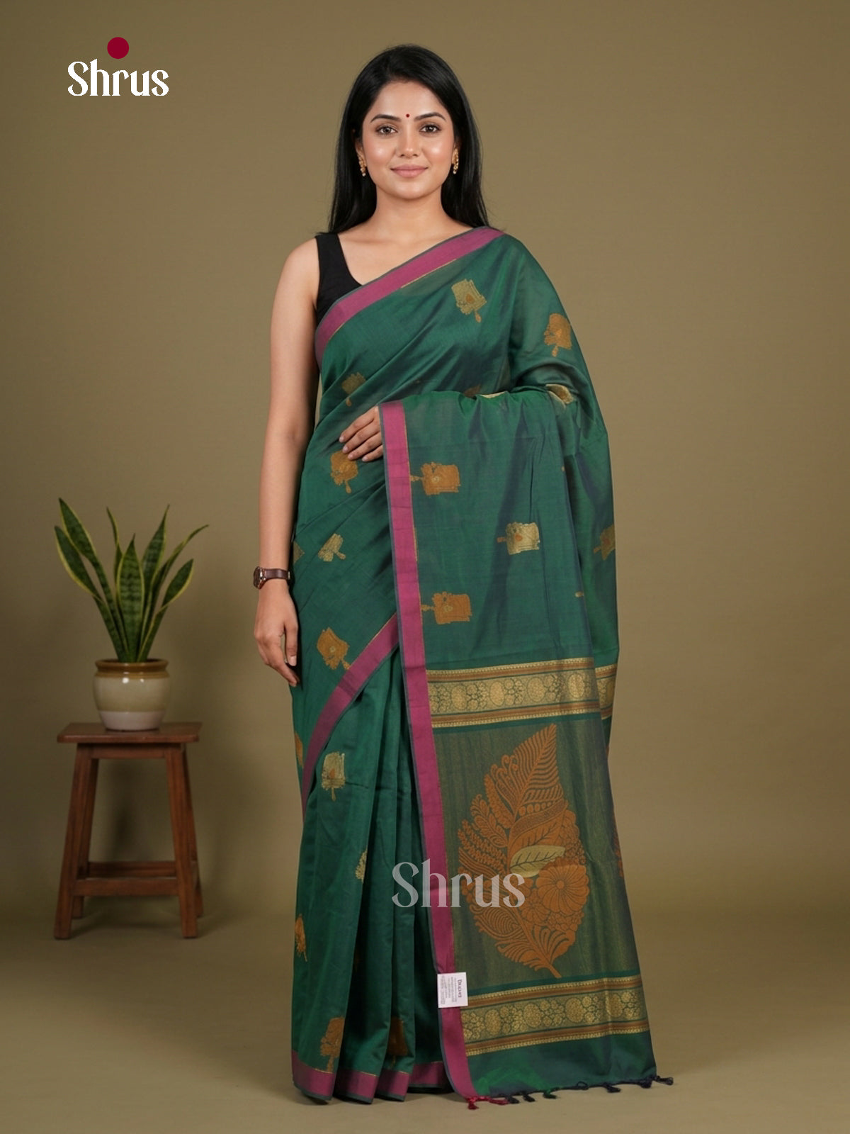 Coimbatore Cotton Saree - EFS06075 - Shop on Shrus.com