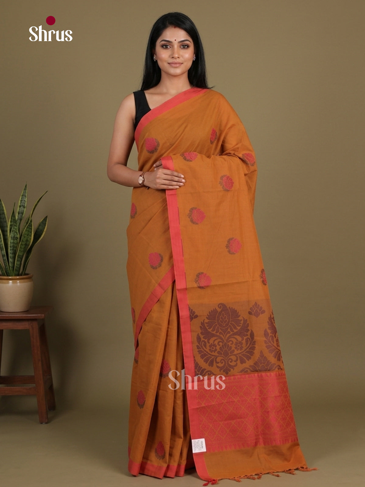 Coimbatore Cotton Saree - EFS06099