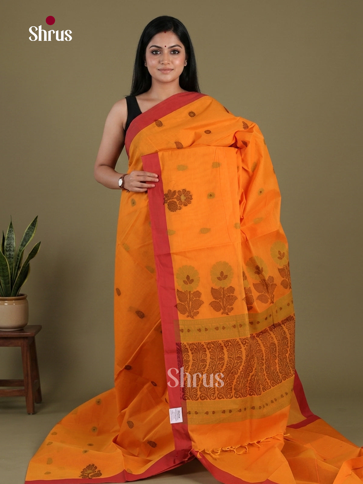Coimbatore Cotton Saree - EFS06103