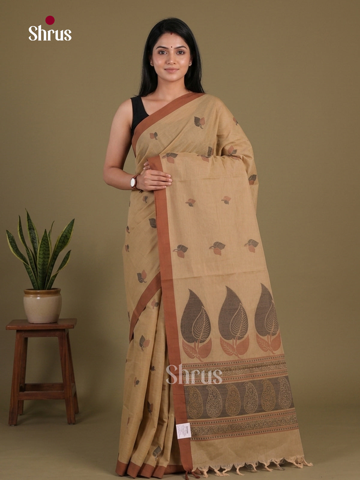 Coimbatore Cotton Saree - EFS06122
