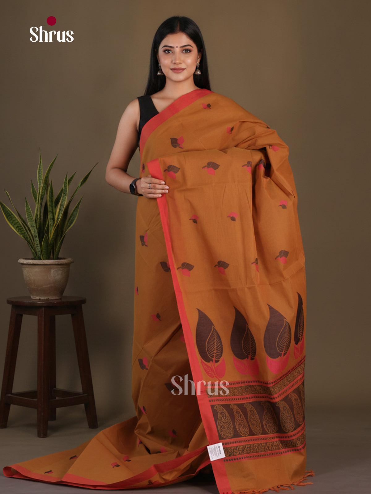 Coimbatore Cotton Saree - EFS06123