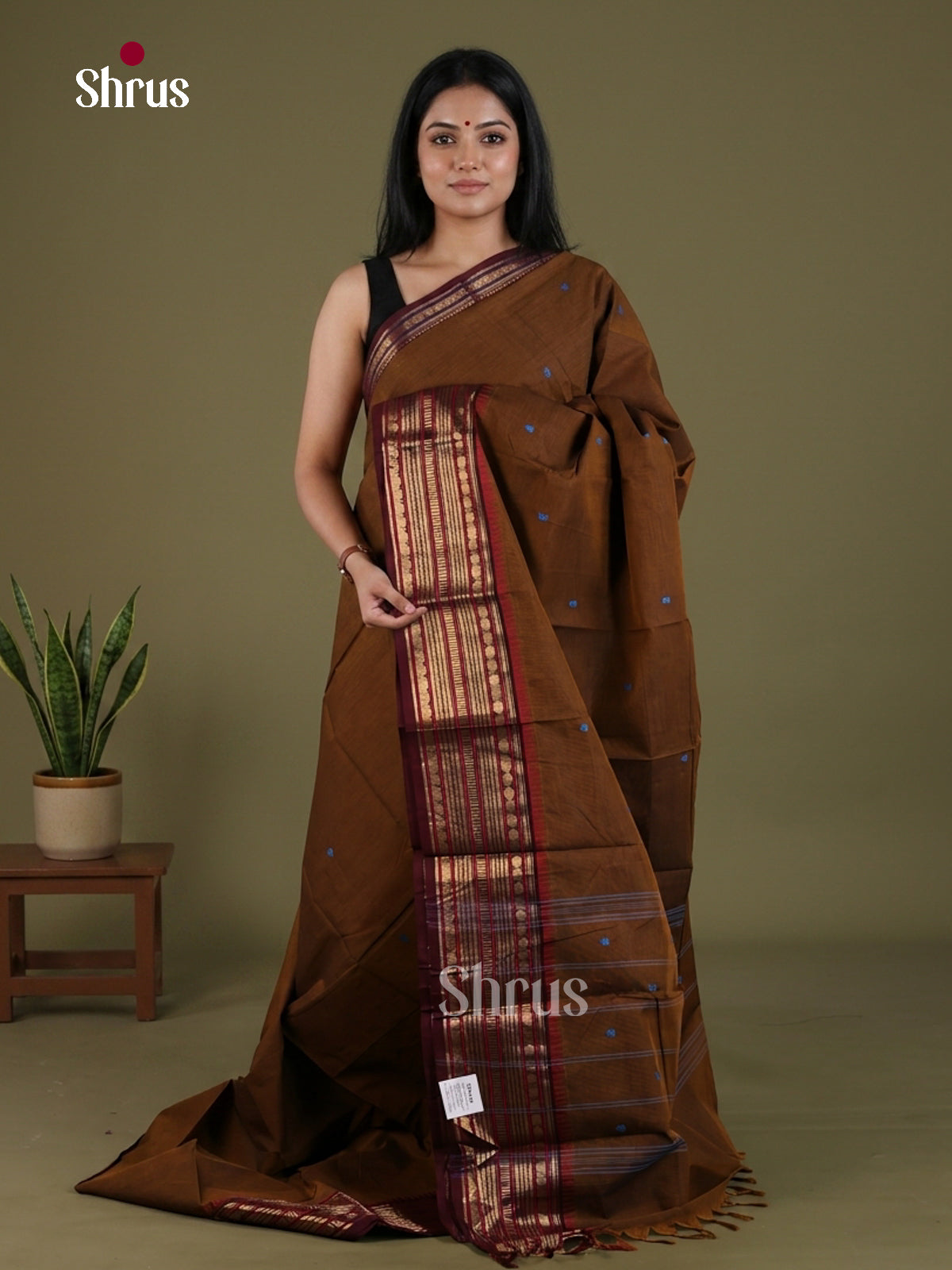 Chettinad Cotton Saree - EFS06196