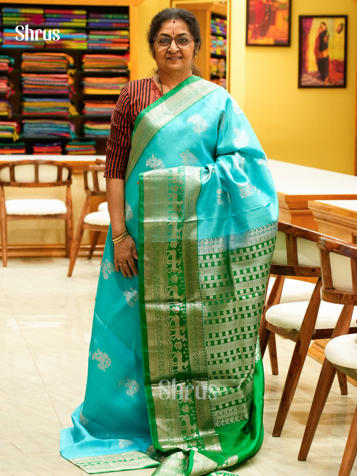 Venkatagiri silk Saree - EFS08043