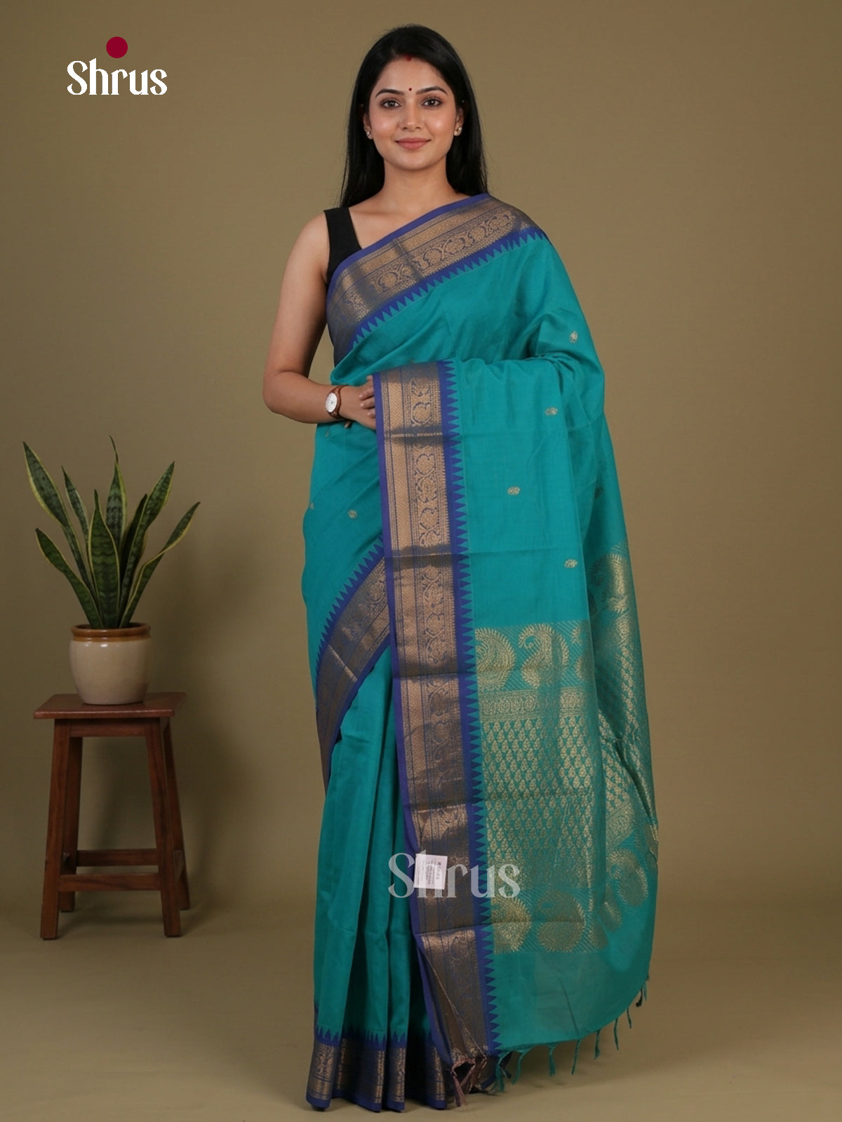 Chettinad Cotton Saree - EFS09148