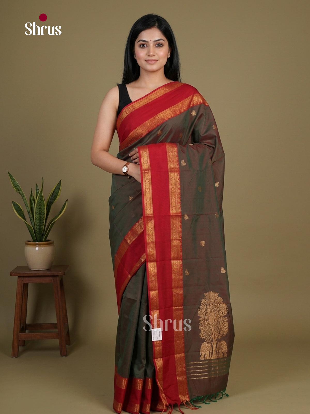 Chettinad Cotton Saree - EFS09157