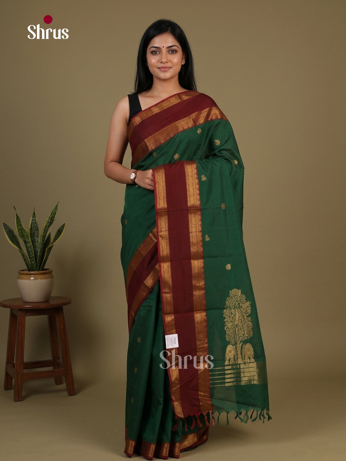 Chettinad Cotton Saree - EFS09160 - Shop on Shrus.com