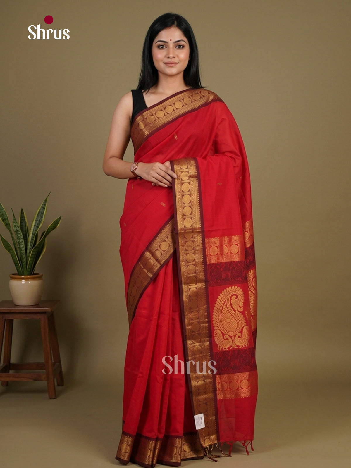 Chettinad Cotton Saree - EFS09165