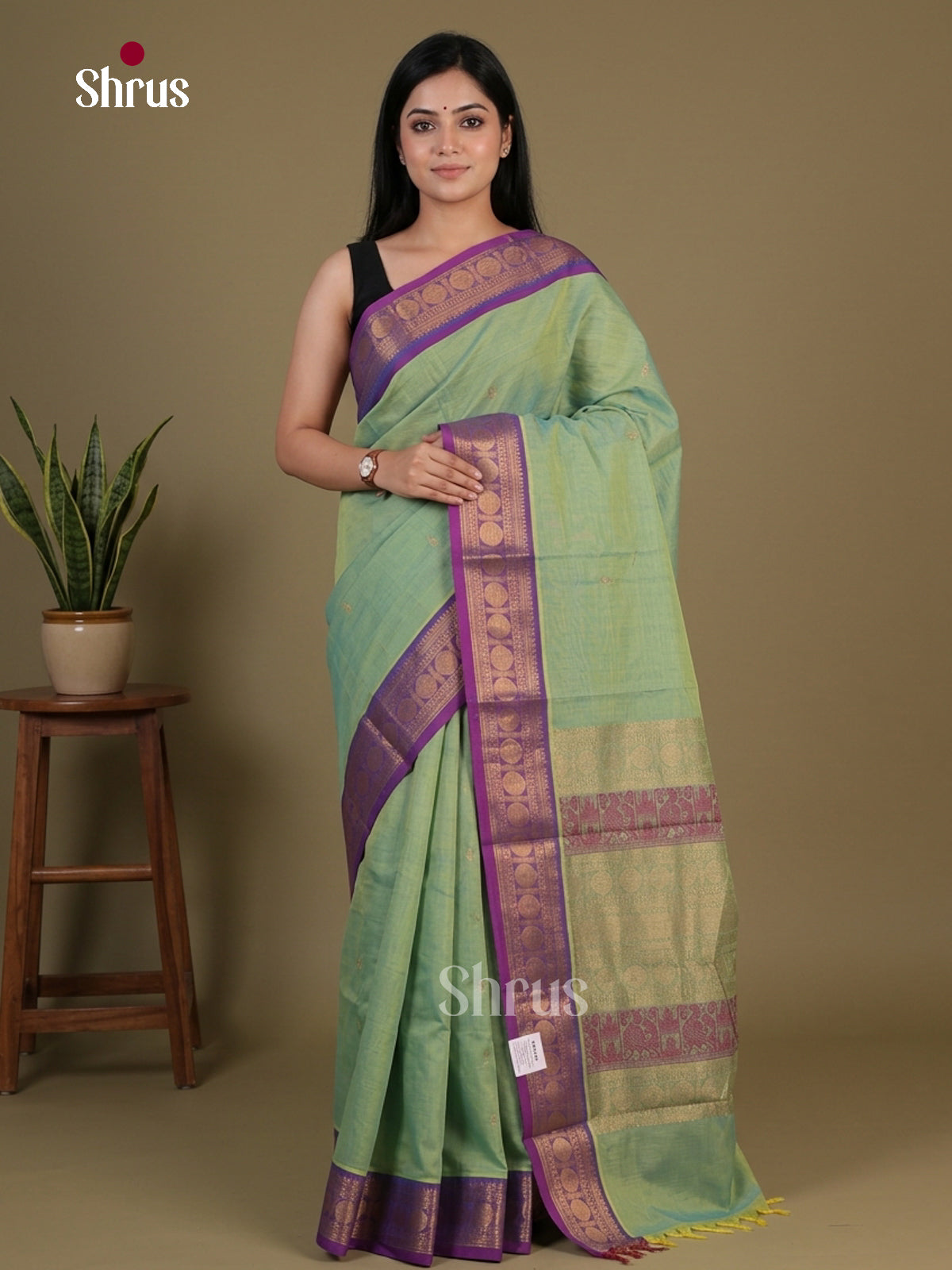 Chettinad Cotton Saree - EFS09171