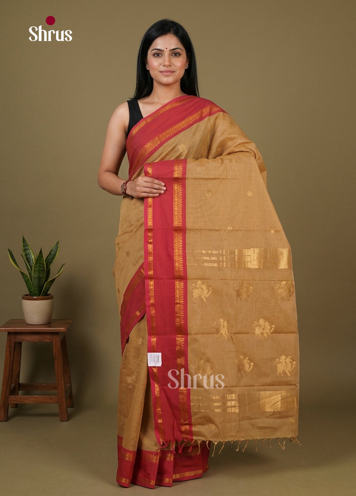 Chettinad Cotton Saree - EFS10001
