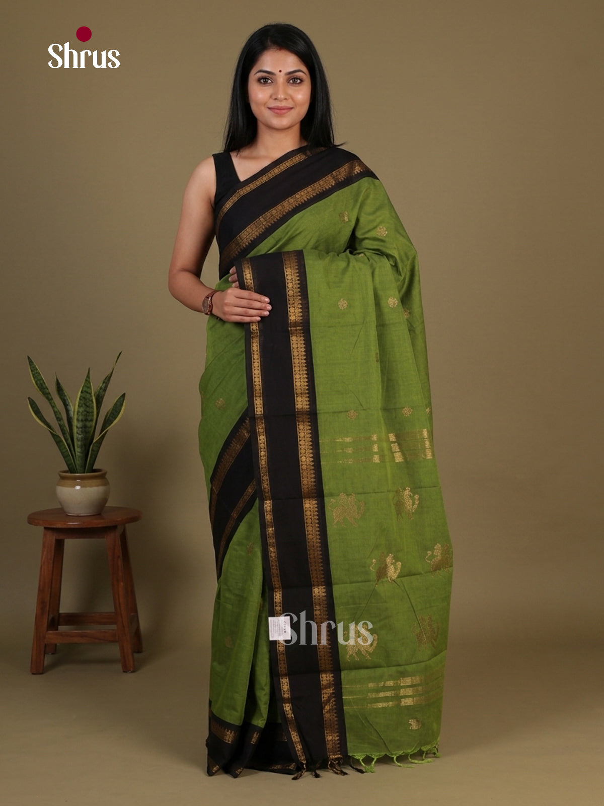Chettinad Cotton Saree - EFS10003 - Shop on Shrus.com