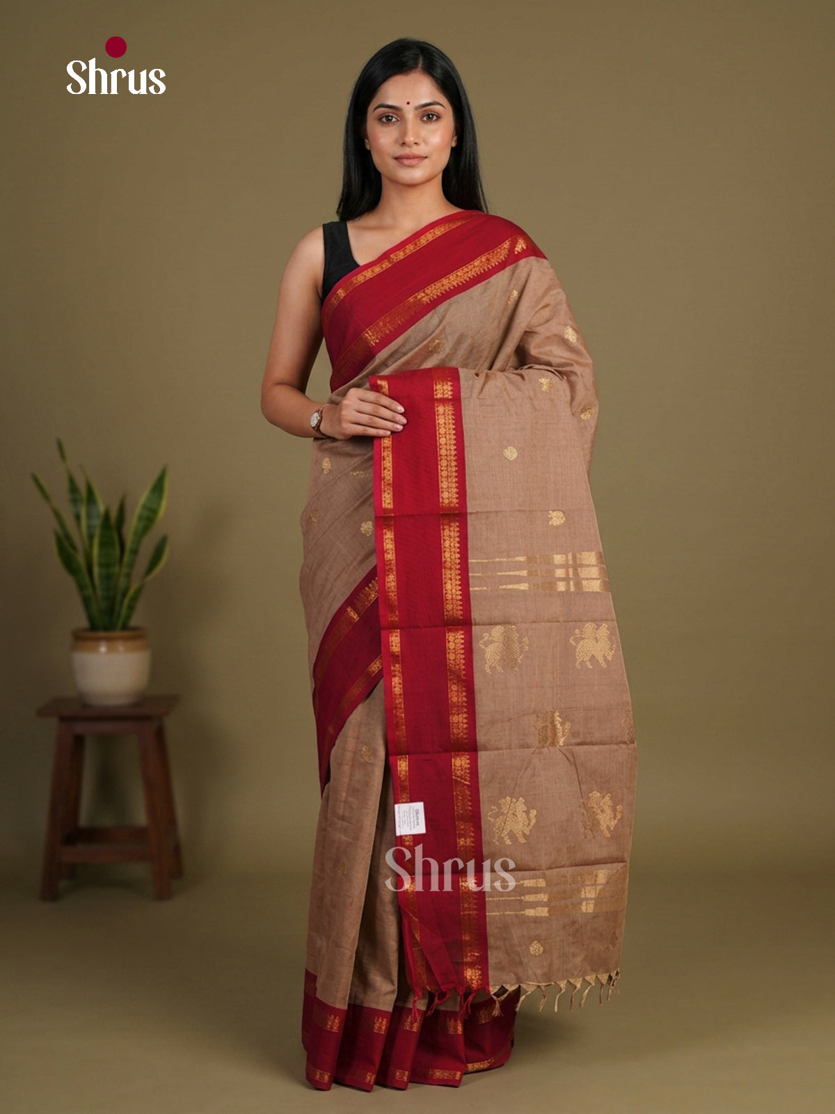 Chettinad Cotton Saree - EFS10005 - Shop on Shrus.com