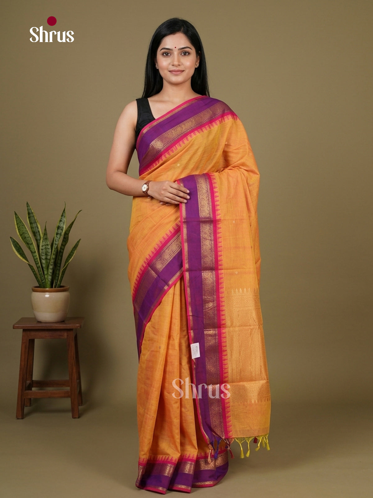 Chettinad Cotton Saree - EFS10014 - Shop on Shrus.com