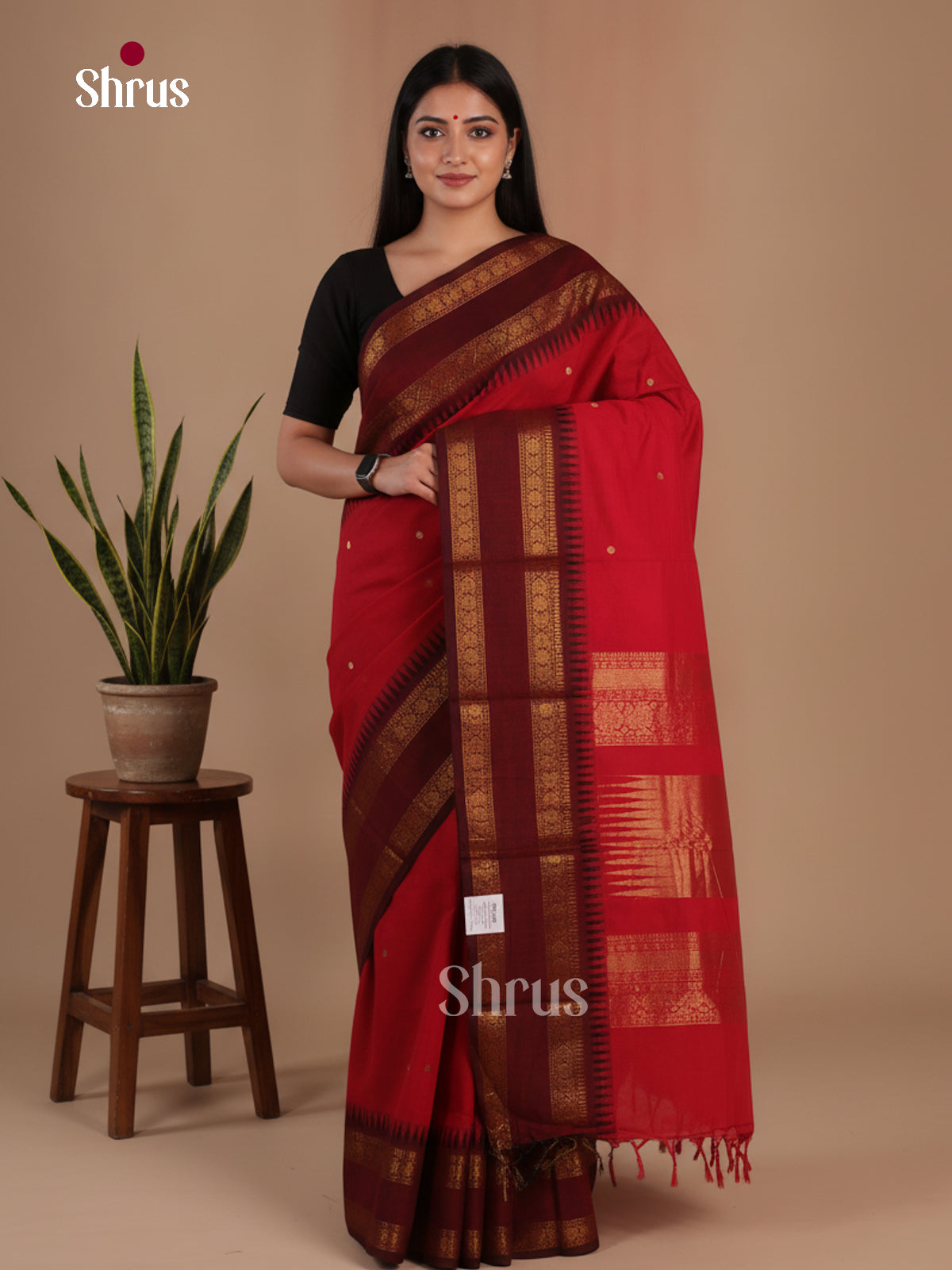 Chettinad Cotton Saree - EFS10016
