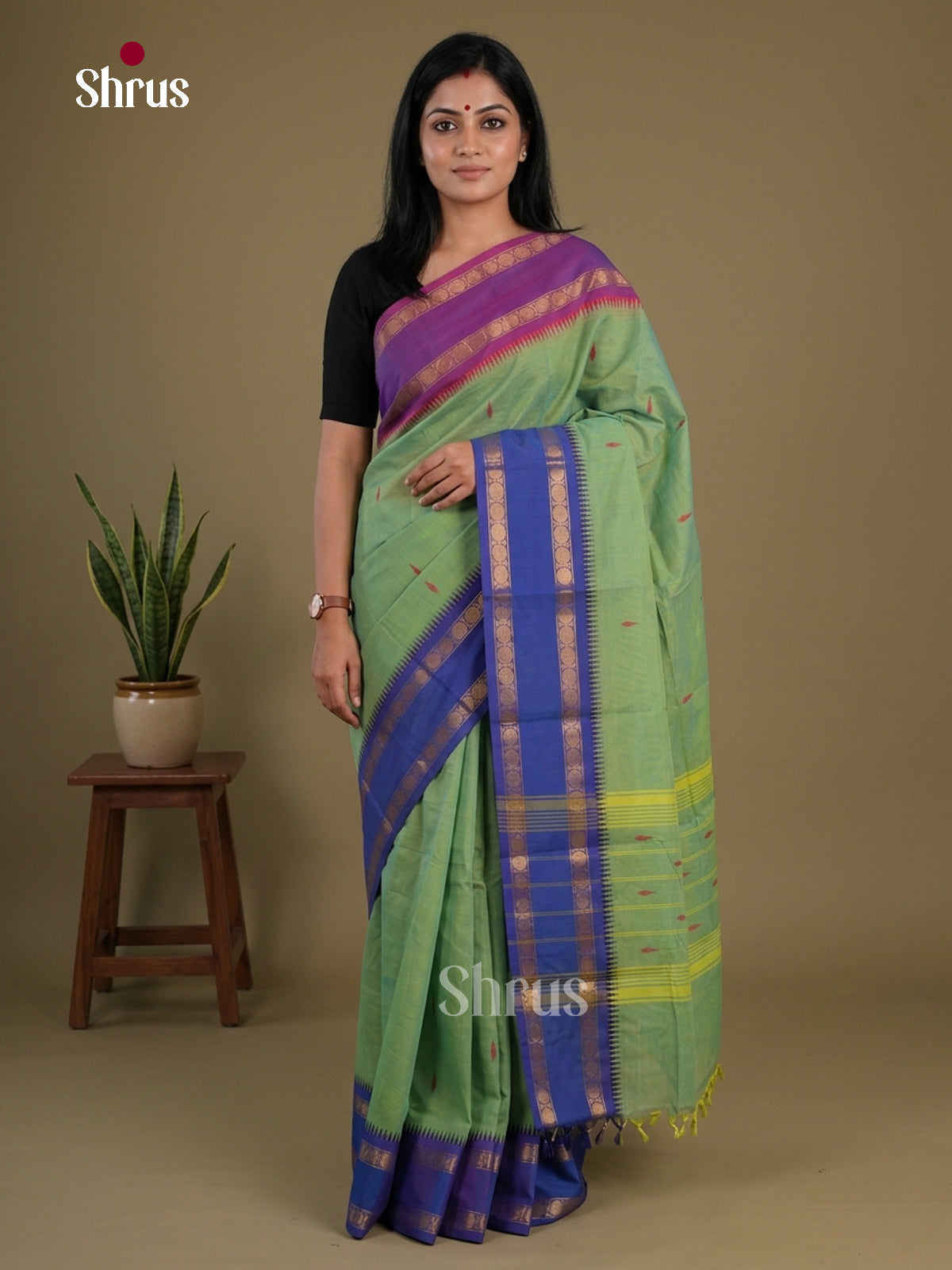 Chettinad Cotton Saree - EFS11007