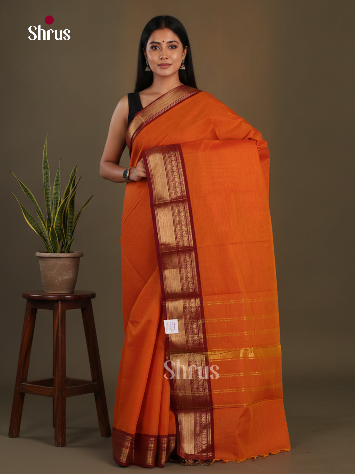 Chettinad Cotton Saree - EFS11019 - Shop on Shrus.com
