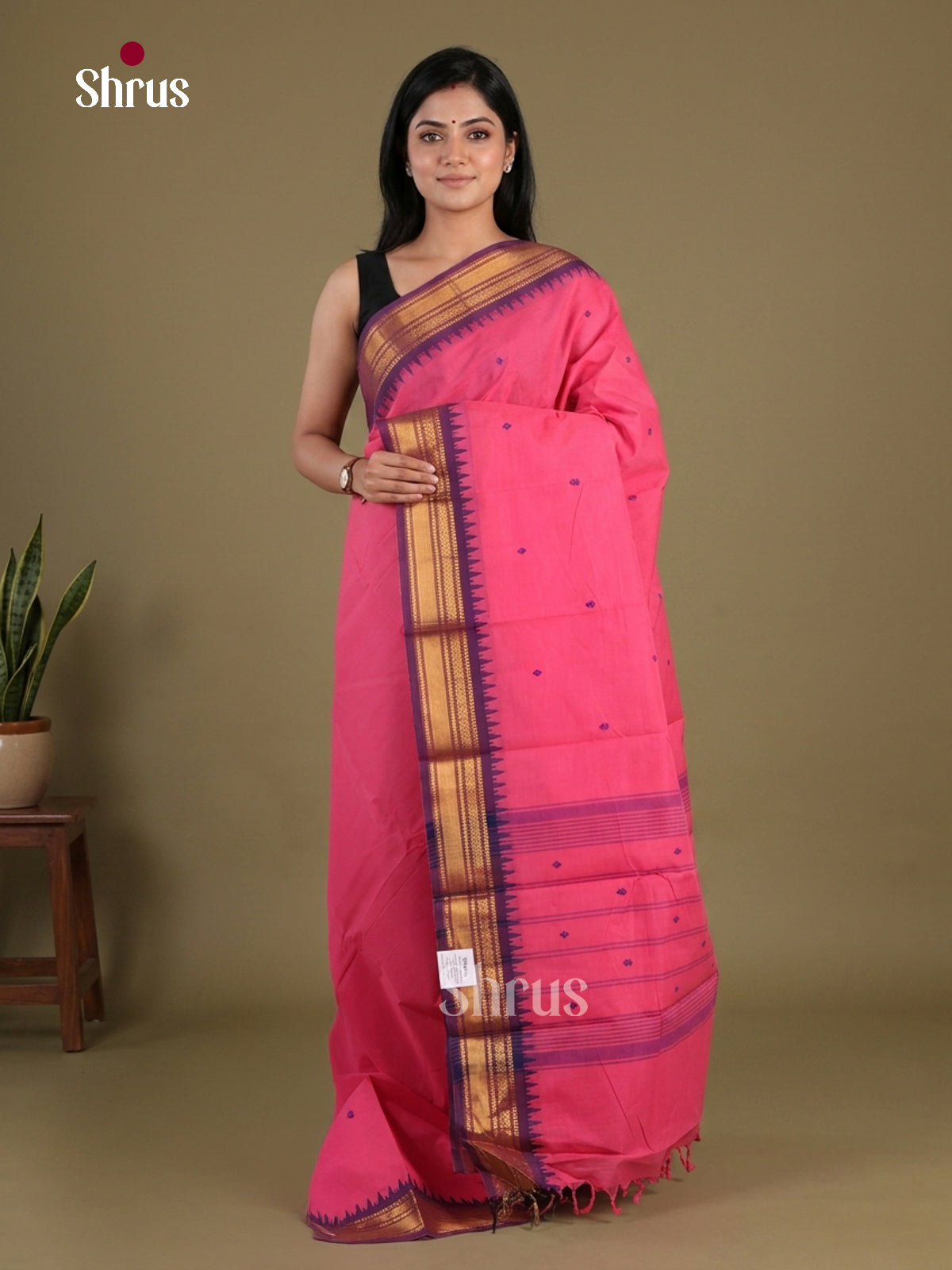 Chettinad Cotton Saree - EFS11021 - Shop on Shrus.com