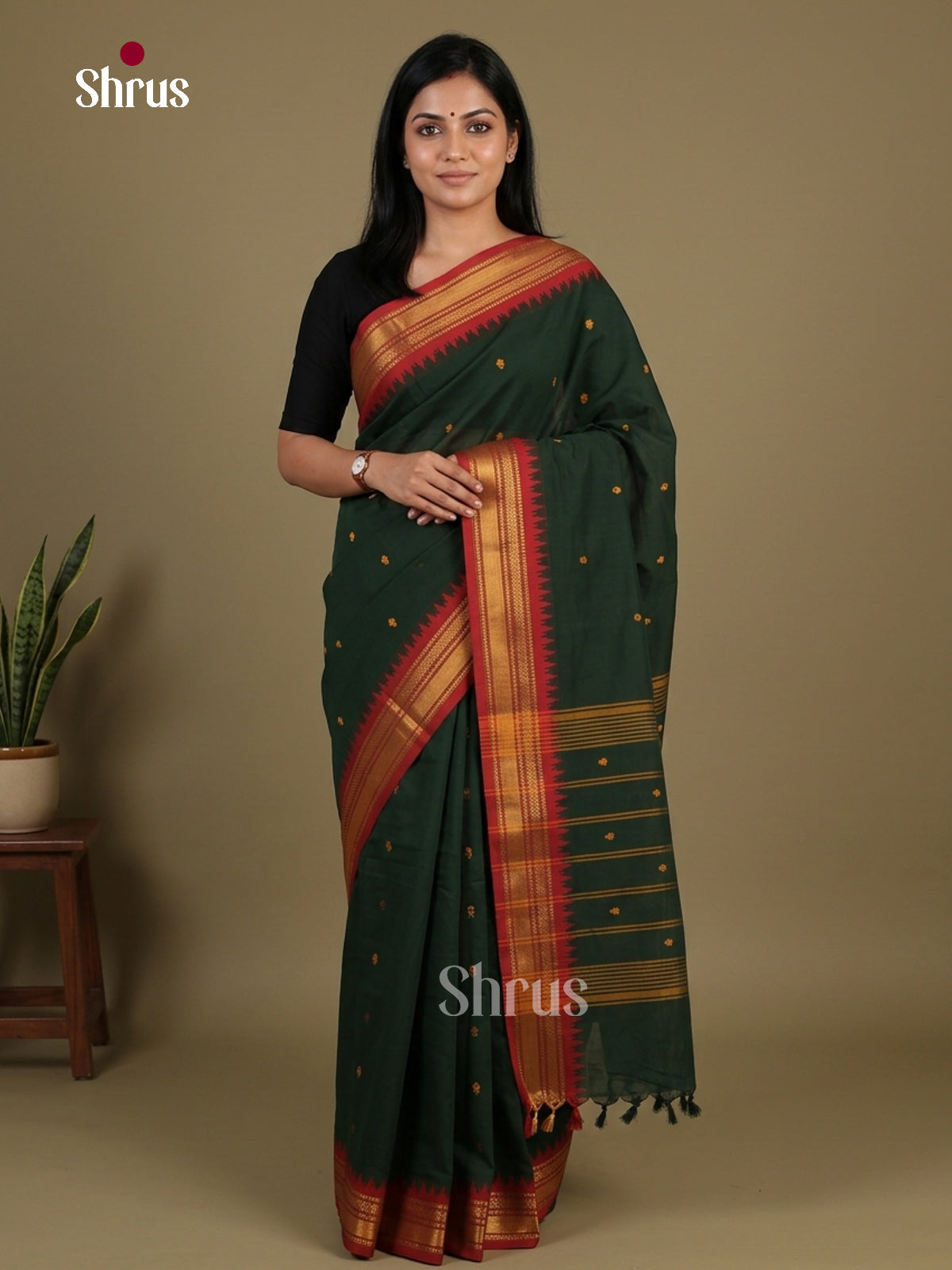 Chettinad Cotton Saree - EFS11023 - Shop on Shrus.com