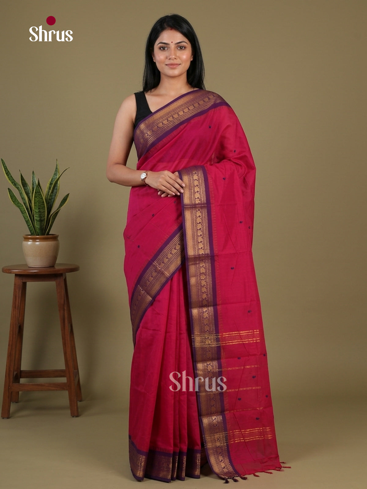 Pink & Blue - Chettinad Cotton Saree